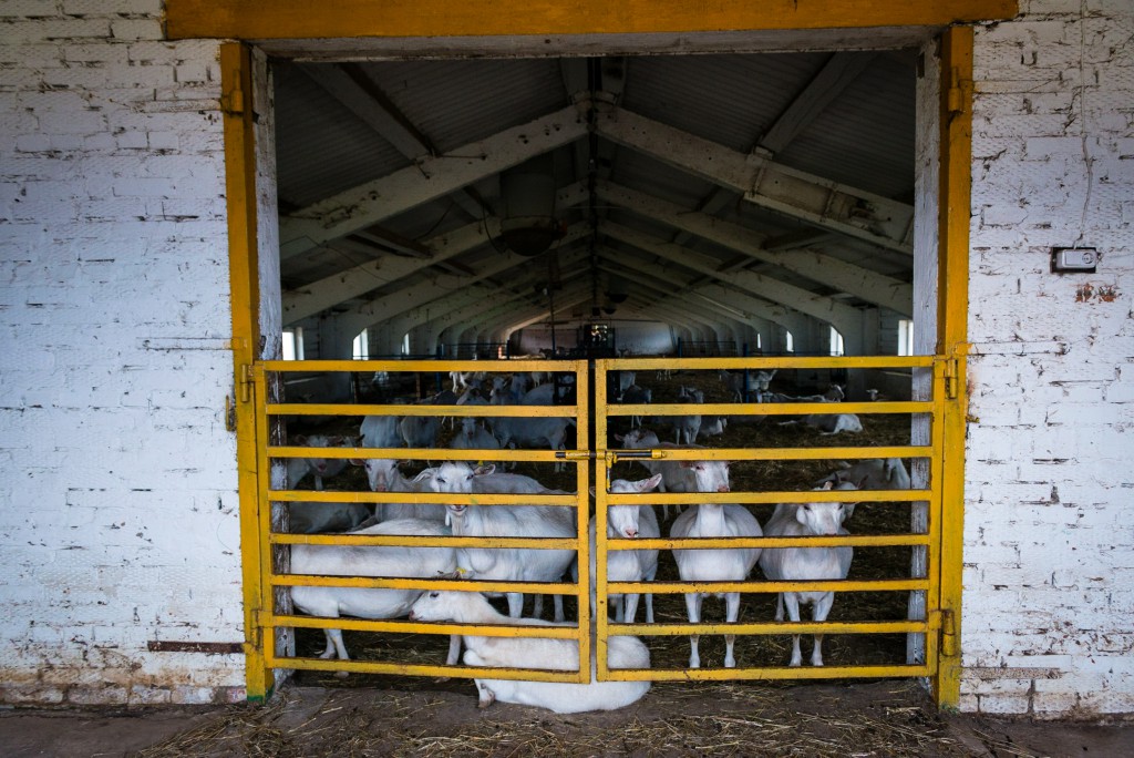 Buterbrod und Spiele – Durch Russland während der WM 2018 mit Christian Frey und Moritz Gathmann