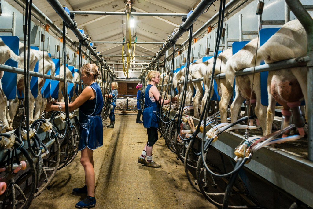 Buterbrod und Spiele – Durch Russland während der WM 2018 mit Christian Frey und Moritz Gathmann