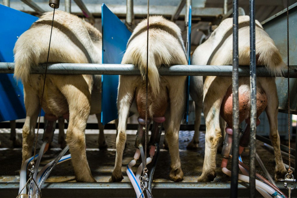 Buterbrod und Spiele – Durch Russland während der WM 2018 mit Christian Frey und Moritz Gathmann