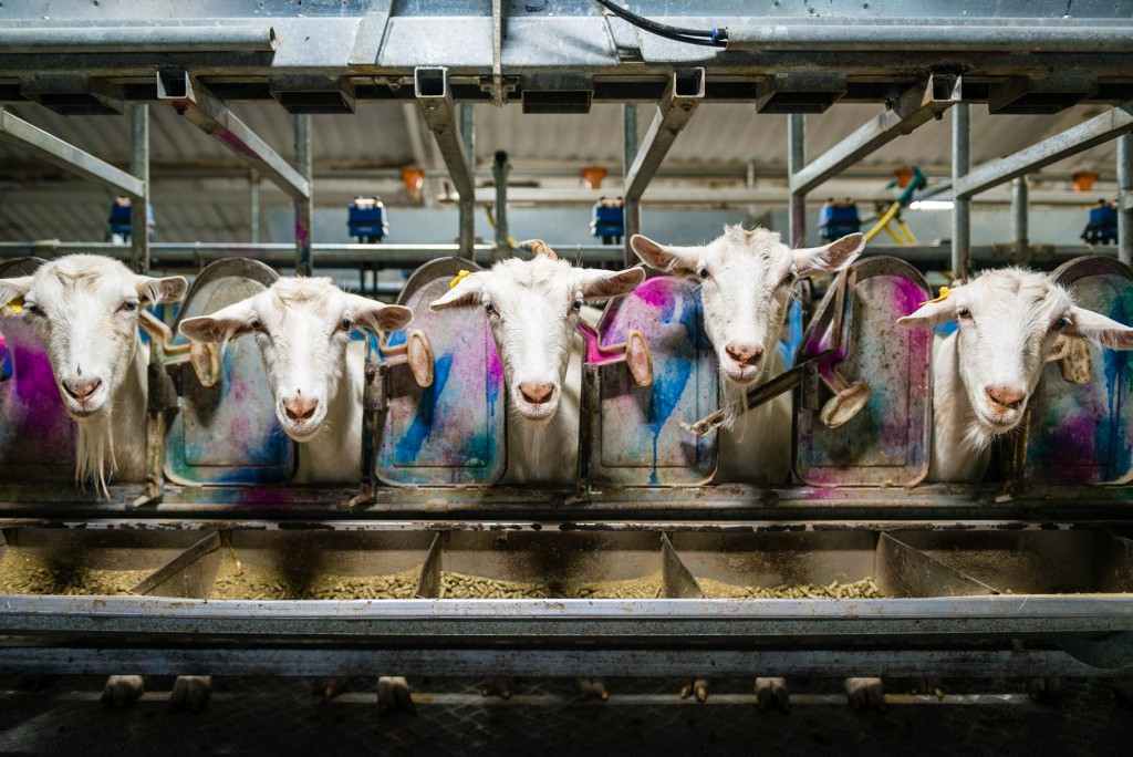 Buterbrod und Spiele – Durch Russland während der WM 2018 mit Christian Frey und Moritz Gathmann