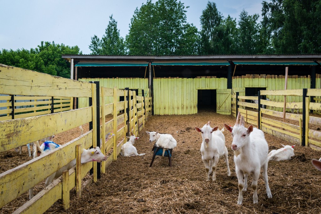 Buterbrod und Spiele – Durch Russland während der WM 2018 mit Christian Frey und Moritz Gathmann